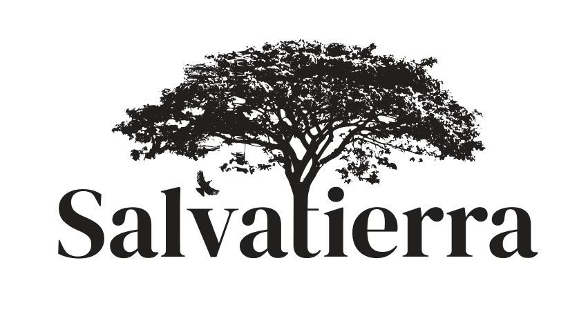 Salvatierra & Co